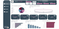 Sales Performance Dashboard - Executive