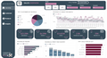 Sales Performance Dashboard - Standard